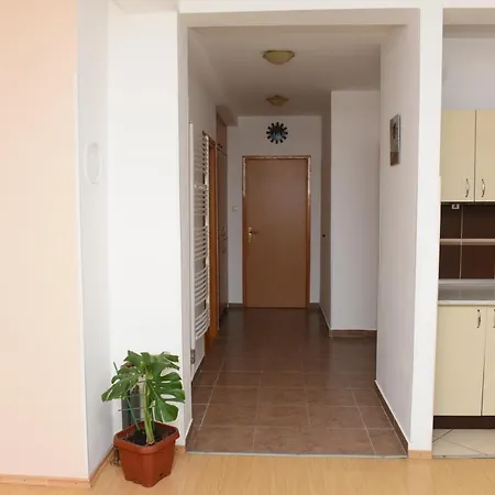 Bingo Apartment *